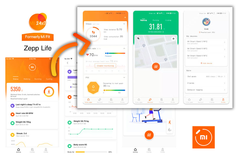bascula xiaomi app